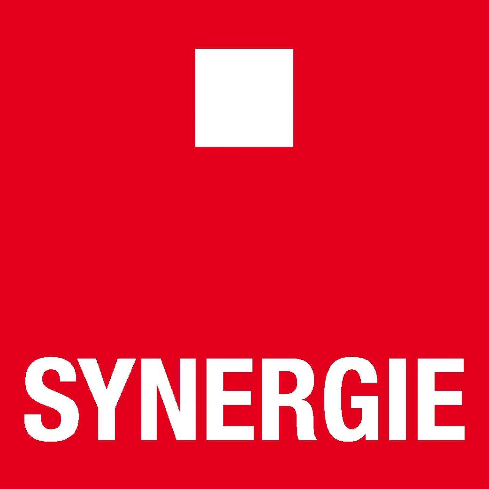 Logo SYNERGIE ITALIA SPA