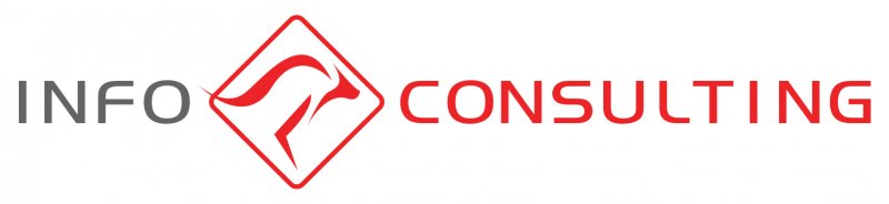 Logo Info Consulting Srl 