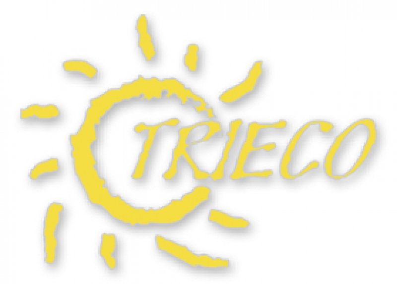 Logo Trieco Servizi Ambientali 